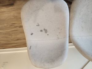 Before & After Upholstery Cleaning in Nashville, TN (1)