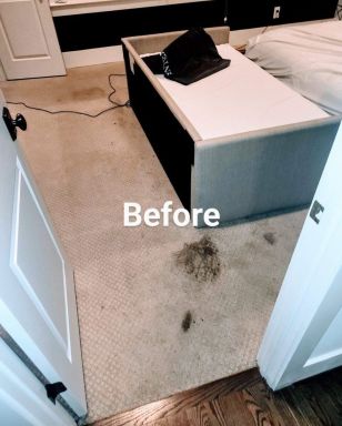 Carpet Stain Removal in Hendersonville, TN (1)