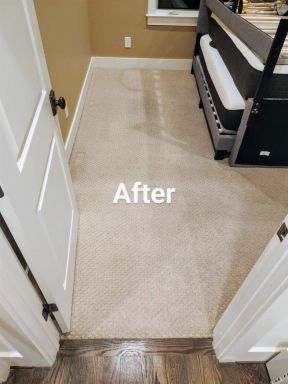 Carpet Stain Removal in Hendersonville, TN (2)